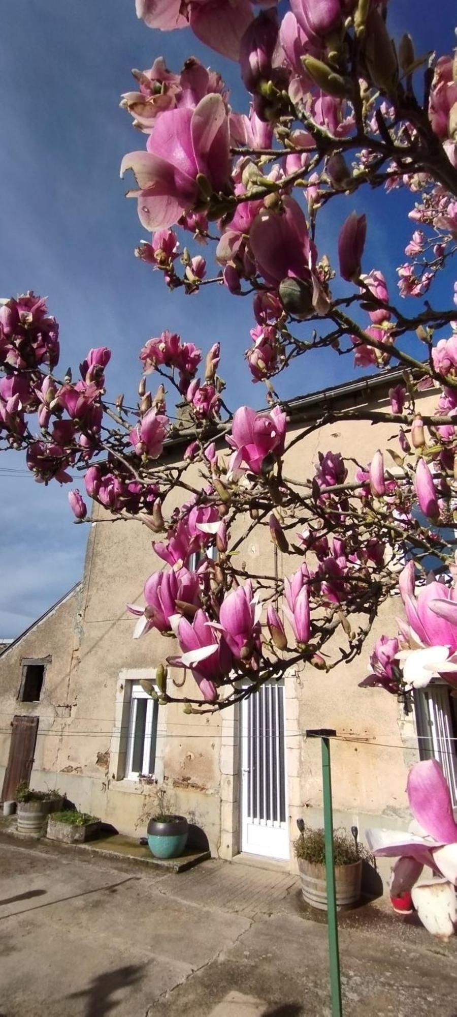 Gite L'Esprit Nature Naucelle المظهر الخارجي الصورة
