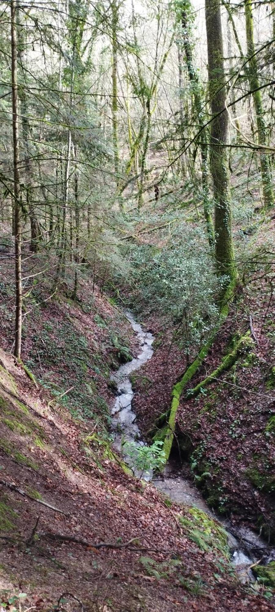 Gite L'Esprit Nature Naucelle المظهر الخارجي الصورة