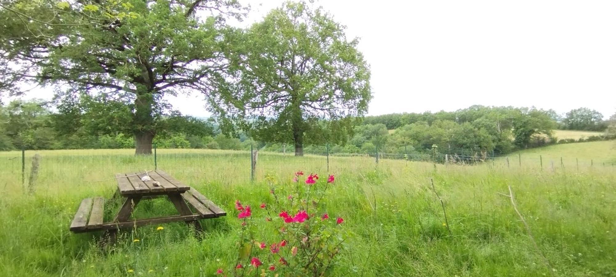 Gite L'Esprit Nature Naucelle المظهر الخارجي الصورة